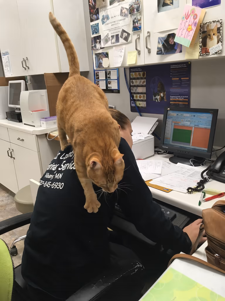 staff profile