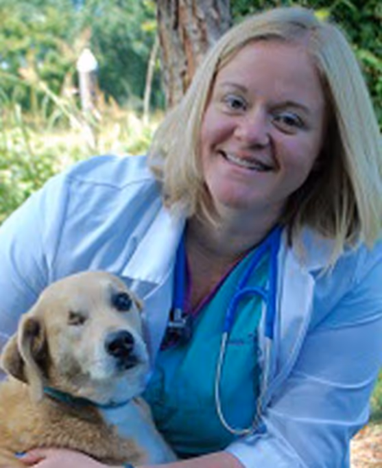 staff profile