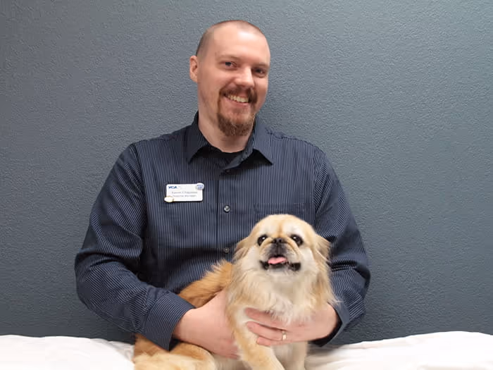 staff profile