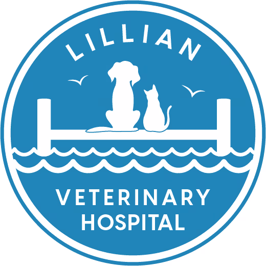 Lillian Veterinary Hospital - Pet services facility