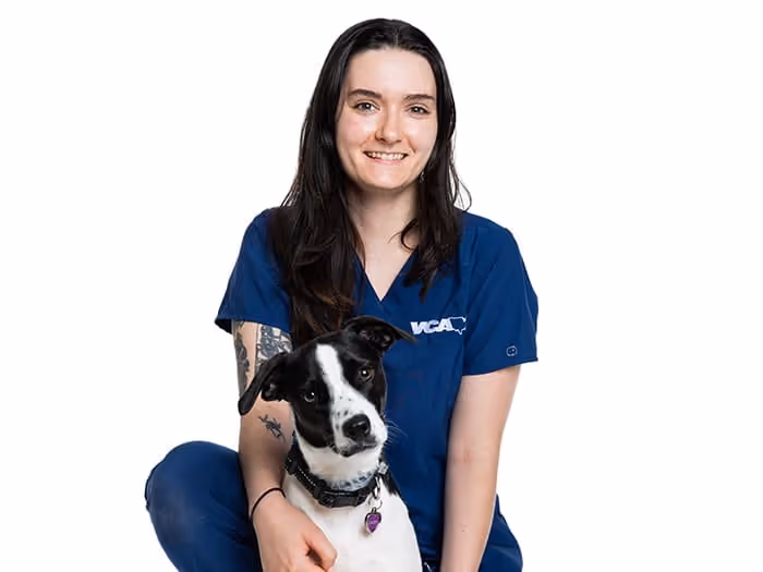 staff profile