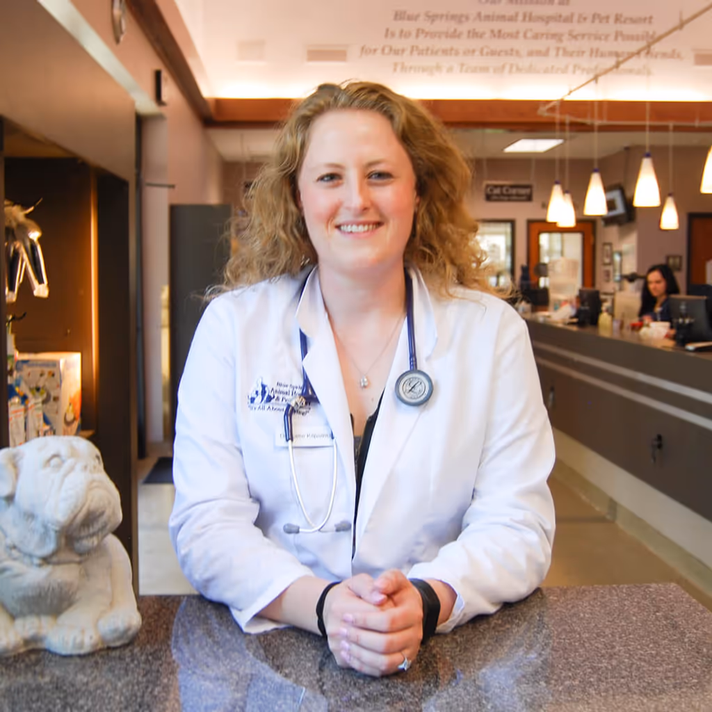 staff profile