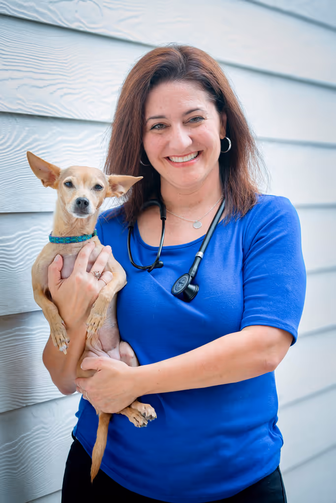staff profile
