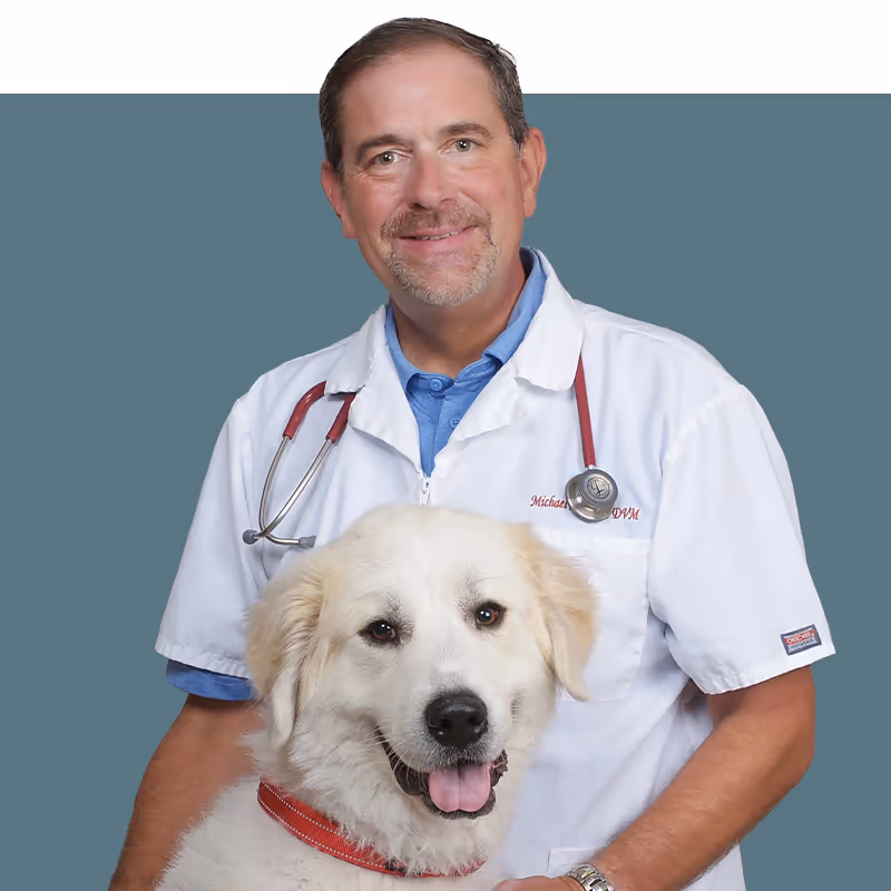 staff profile