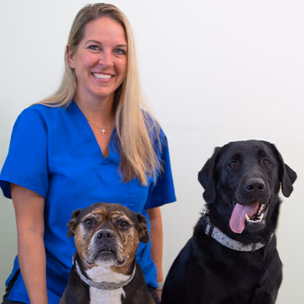 staff profile