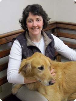 staff profile