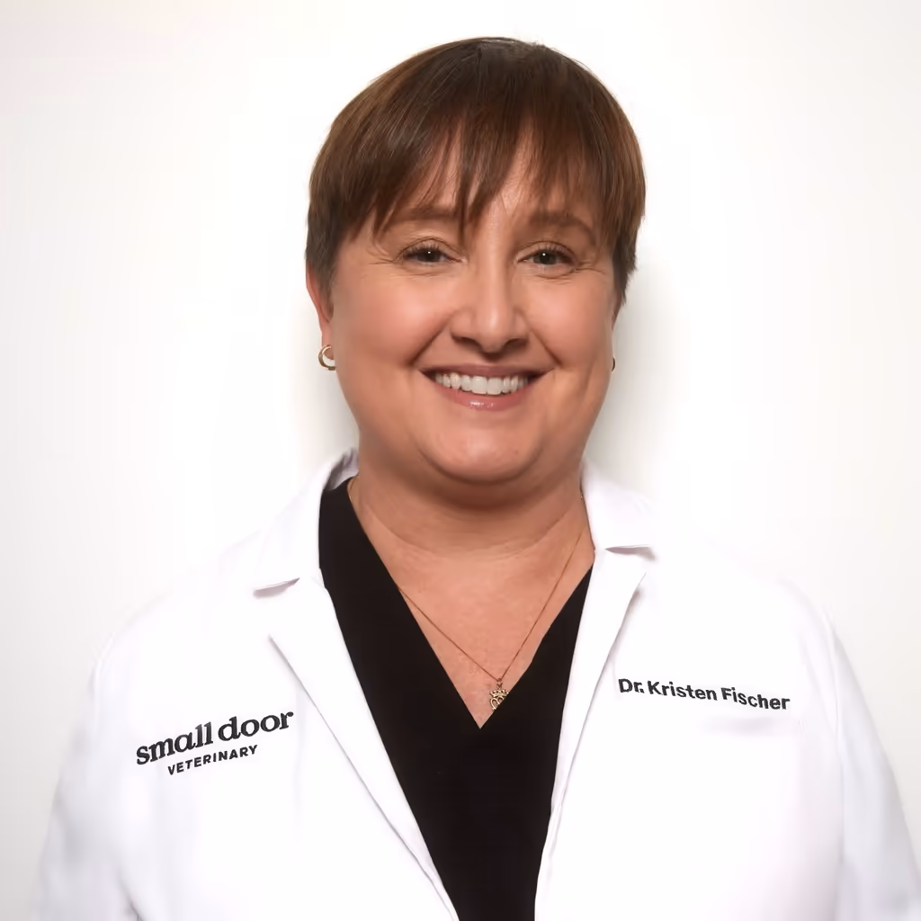 staff profile
