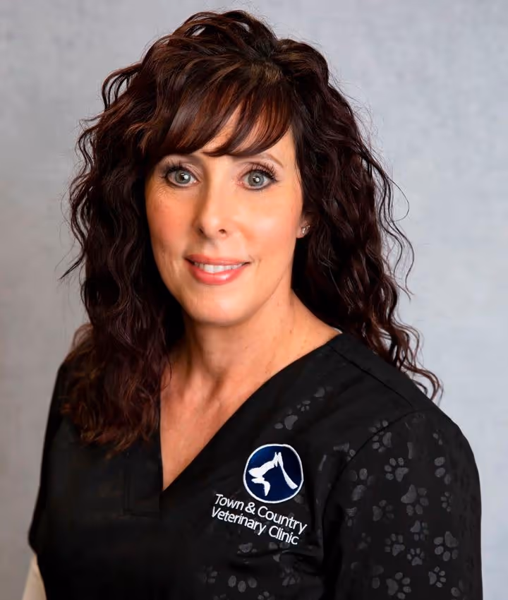 staff profile
