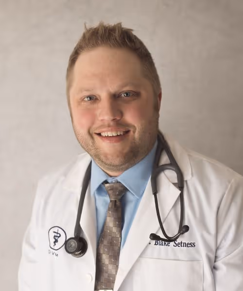staff profile