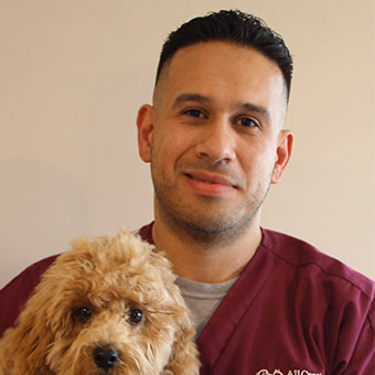staff profile