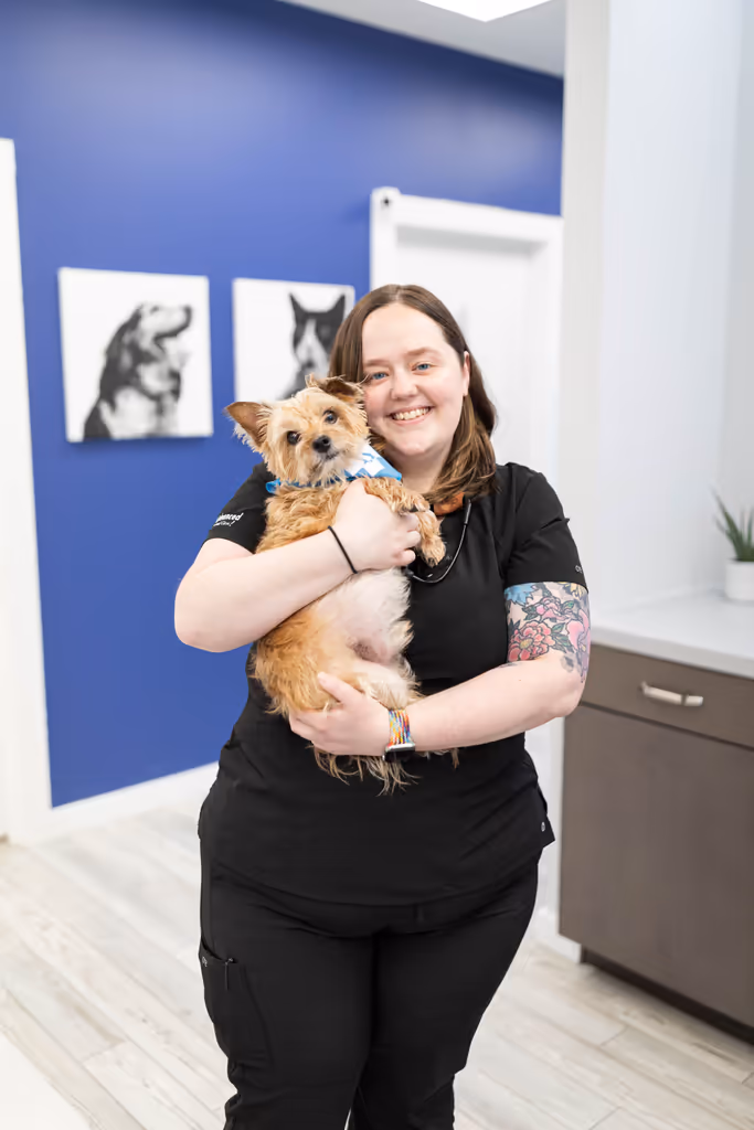 staff profile