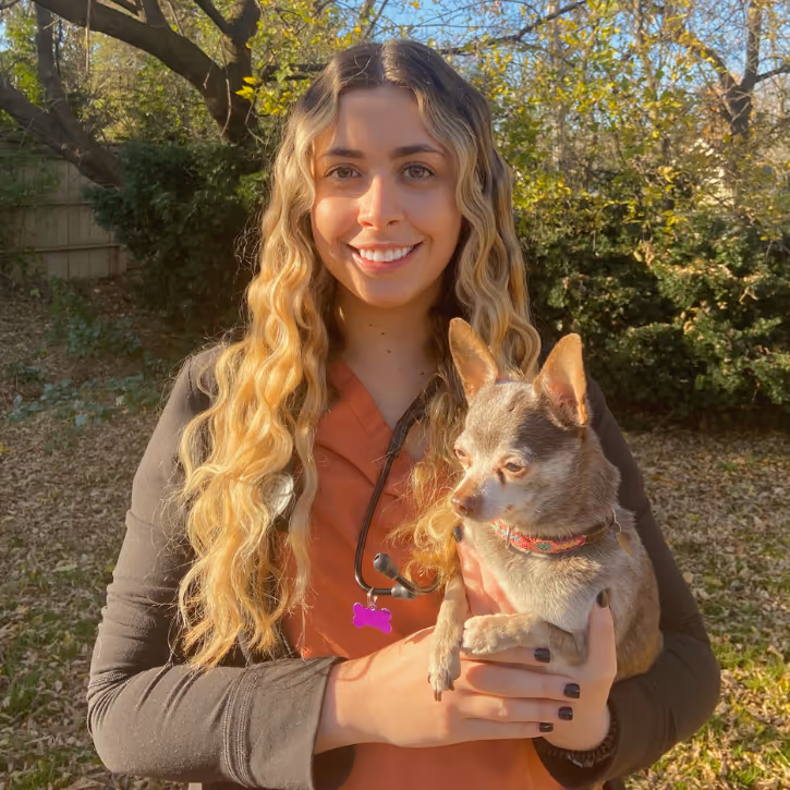 staff profile