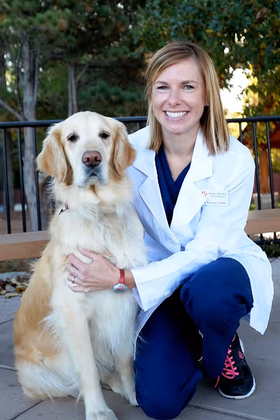 staff profile