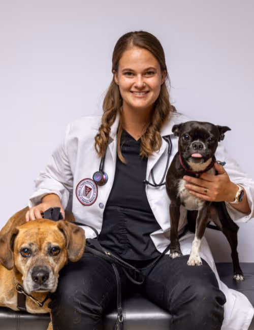 staff profile