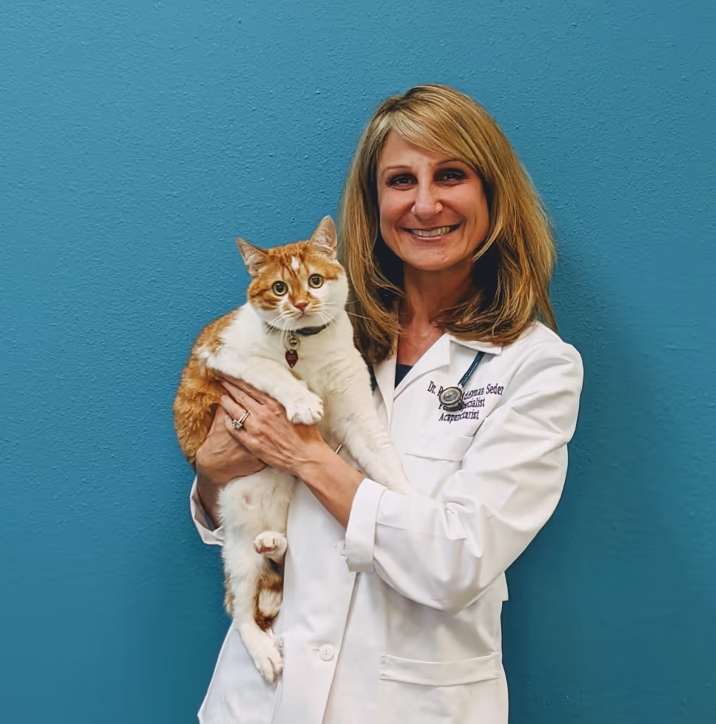 staff profile