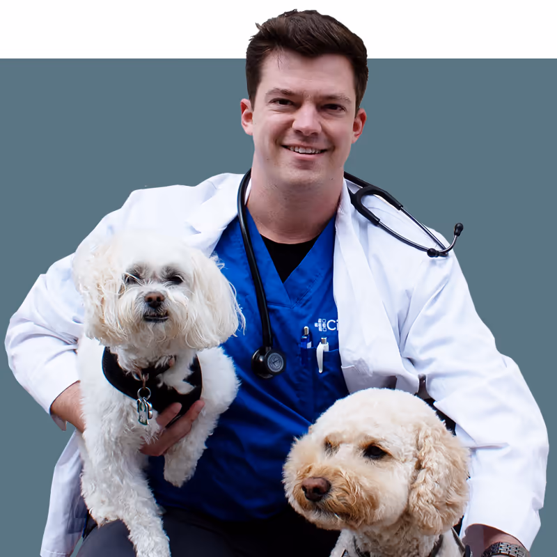 staff profile