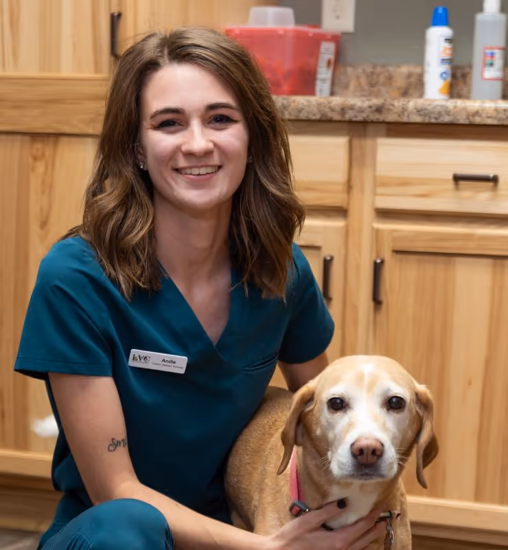 staff profile