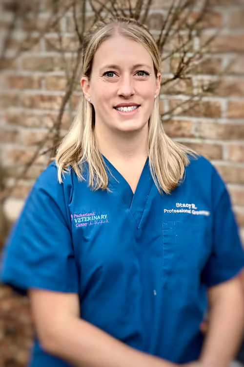 staff profile