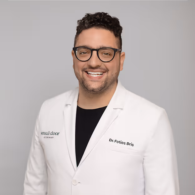 staff profile
