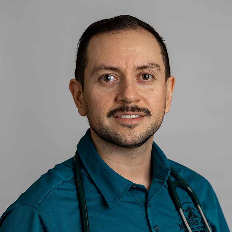 staff profile