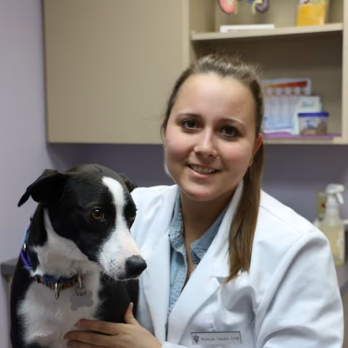 staff profile