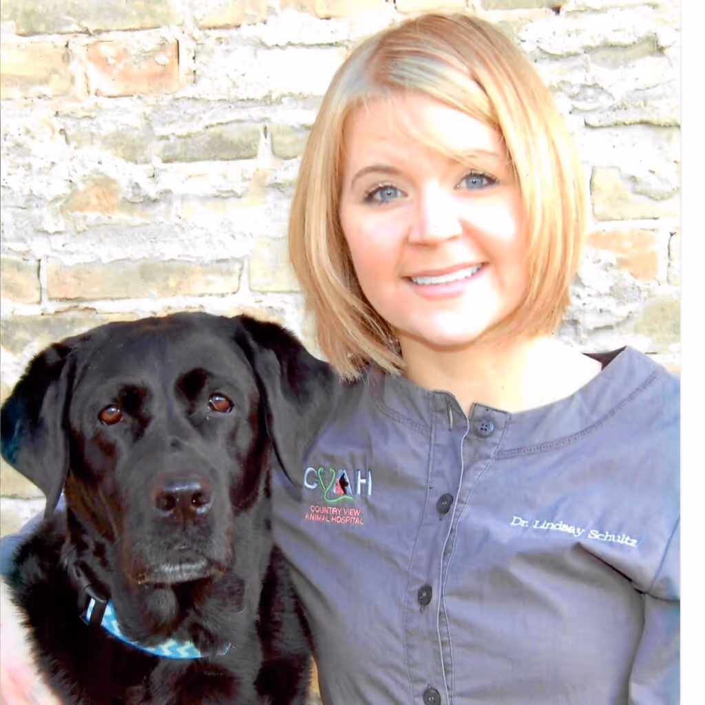 staff profile