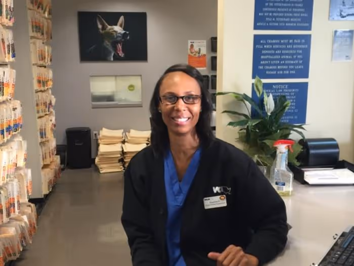 staff profile