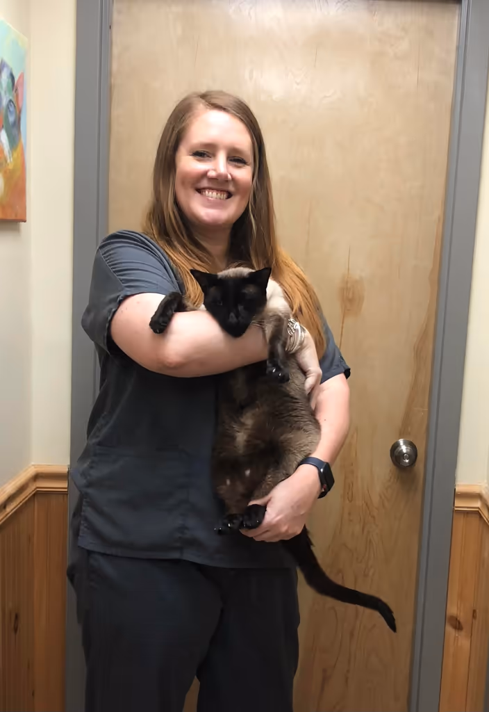staff profile