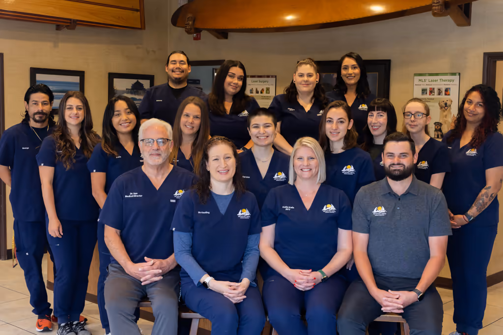 staff profile