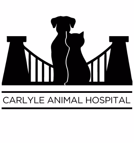 staff profile