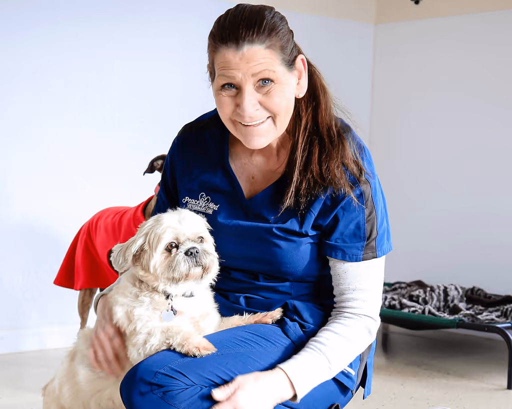 staff profile