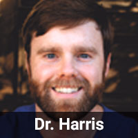staff profile