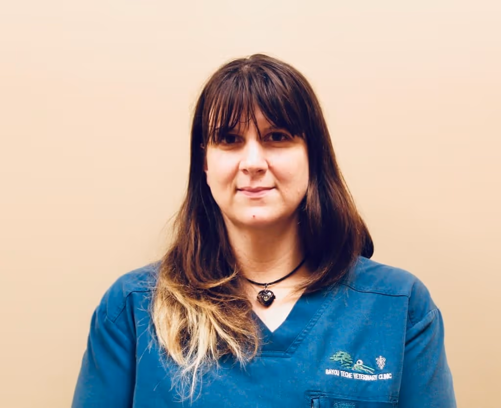 Profile photo of Mel Bellow, Veterinary Assistant / Certified Animal Behaviorist