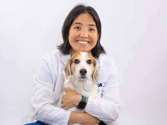 staff profile
