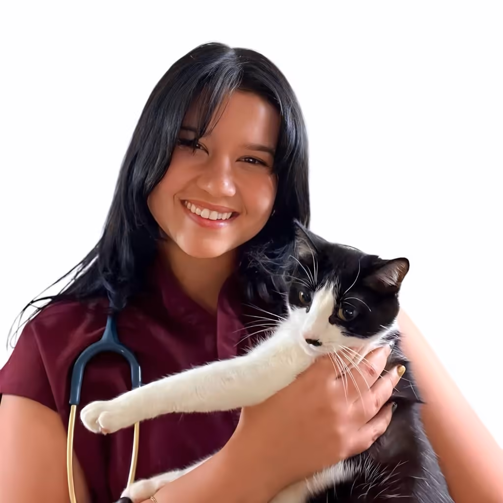 staff profile