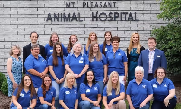 staff profile