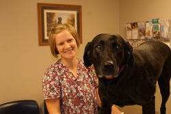 staff profile