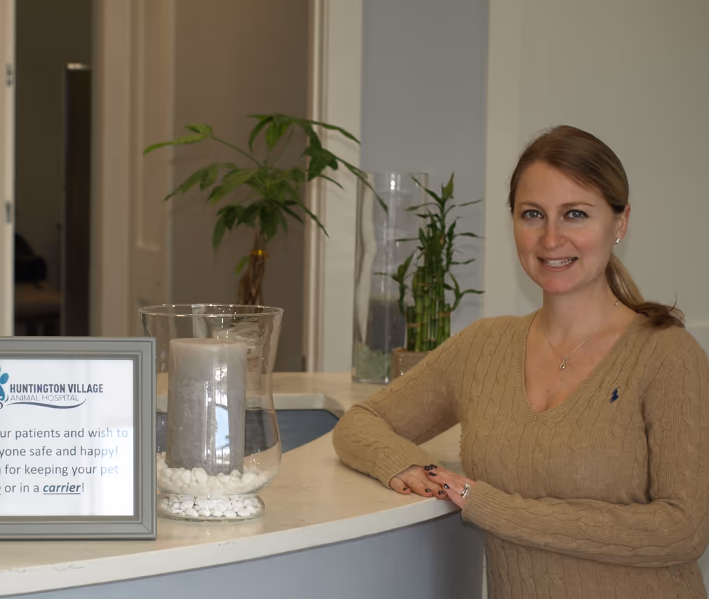 staff profile