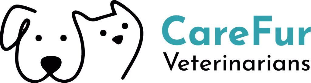 staff profile