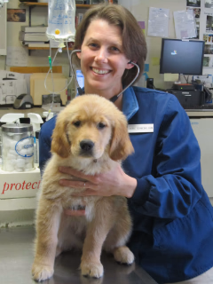 staff profile