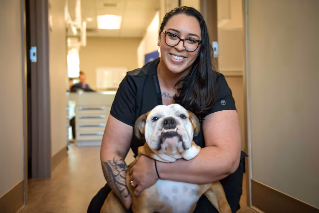 staff profile
