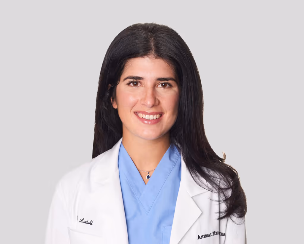 staff profile