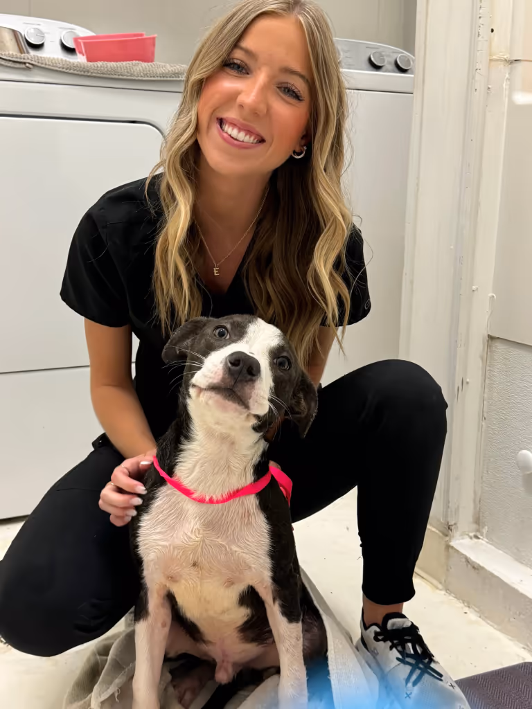 staff profile