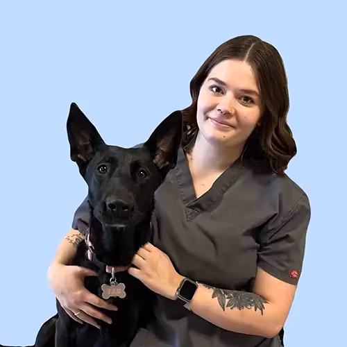 staff profile