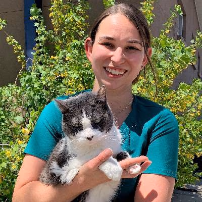 staff profile