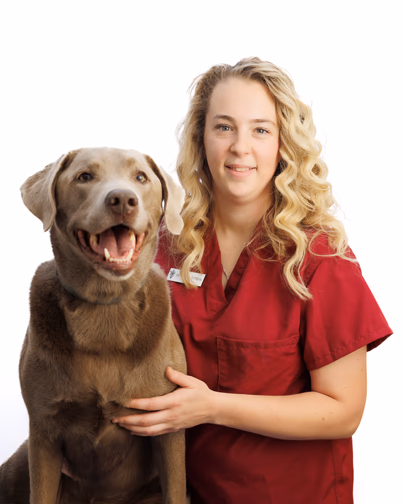 staff profile