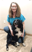 staff profile