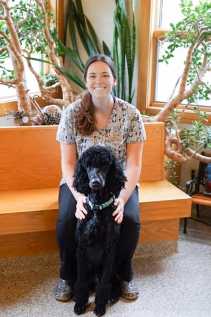 staff profile