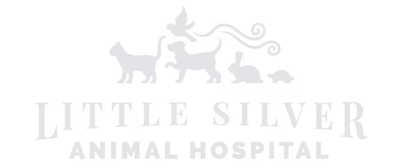 facility profile image