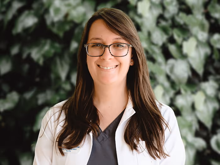 staff profile